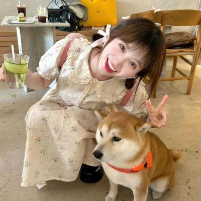 模型姐妹
