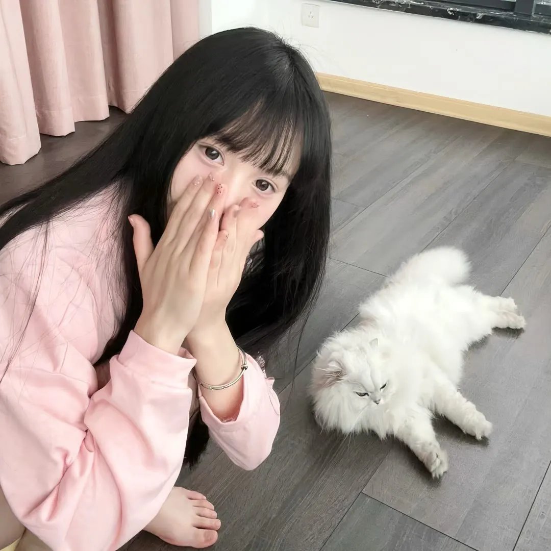 模特儿凶杀案